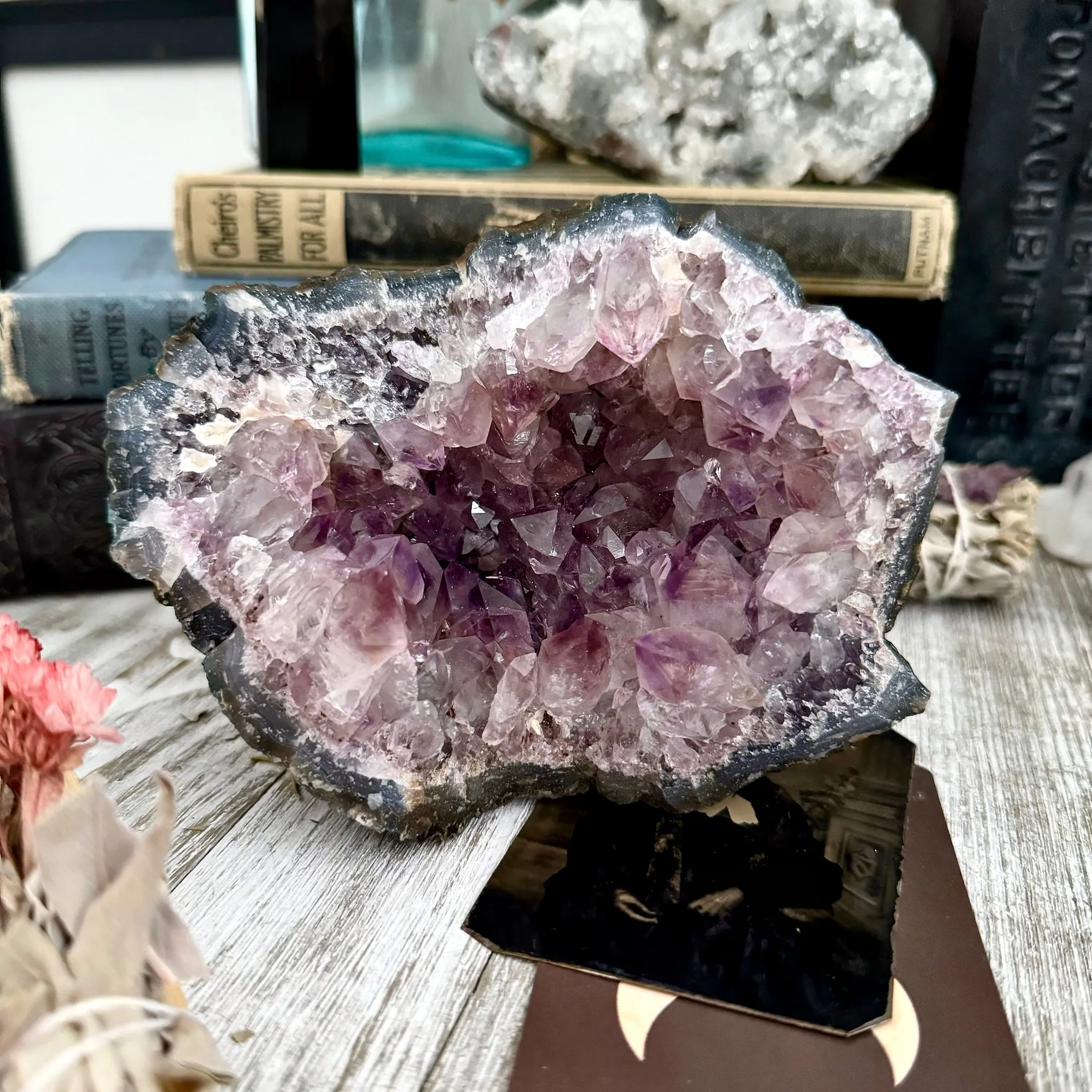 Large Self Standing  Amethyst Geode Crystal Cluster / FoxlarkCrystals